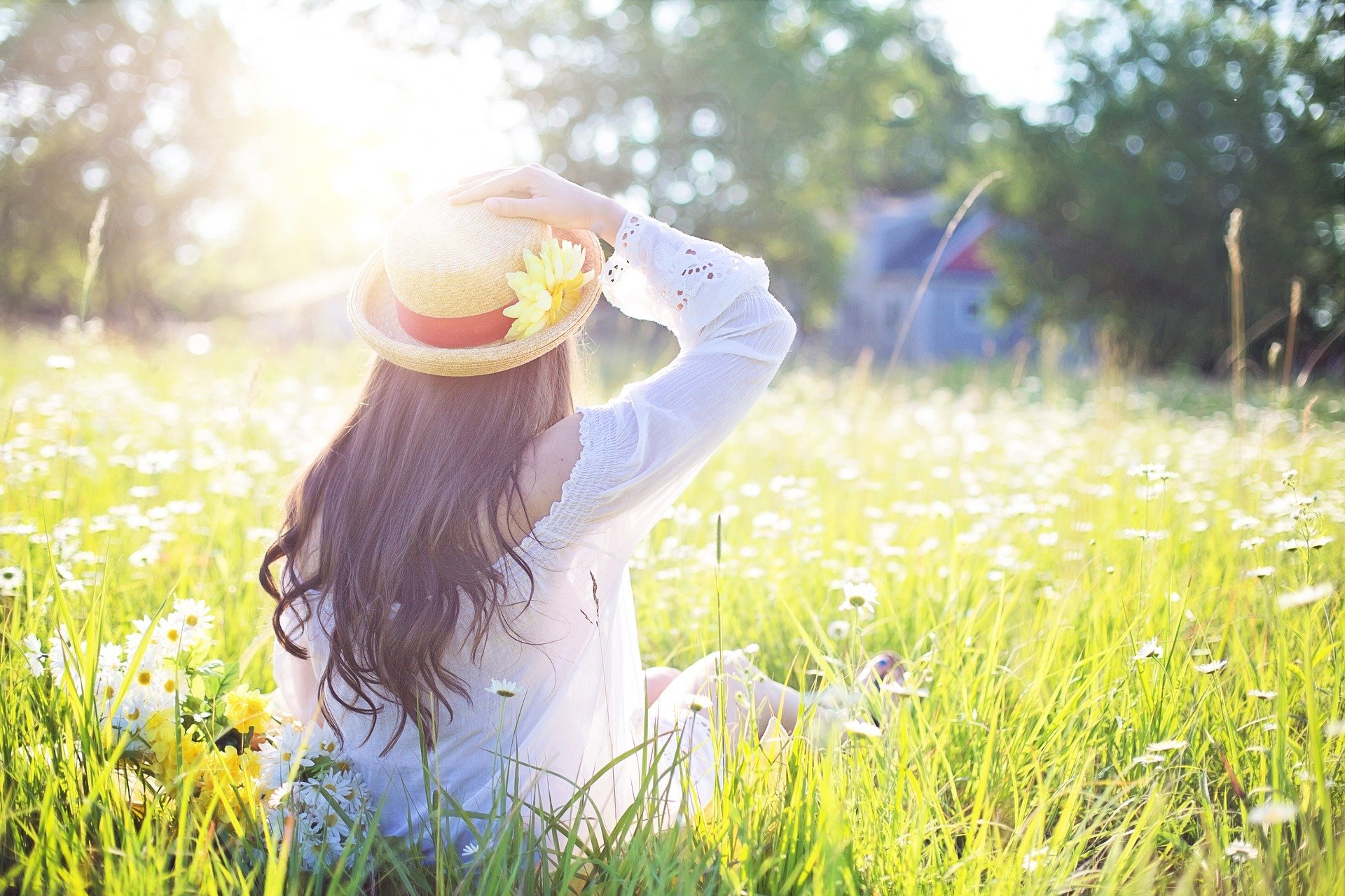 BioGreen fragrance products and fresh interior setting